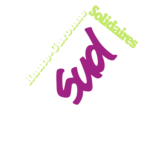 Logo Sud Santé Sociaux 31
